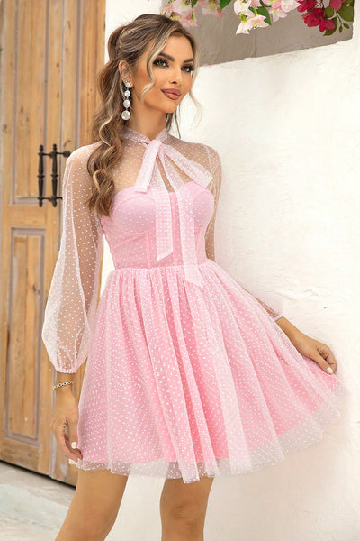 Blush Pink Dotted Sheer Dress