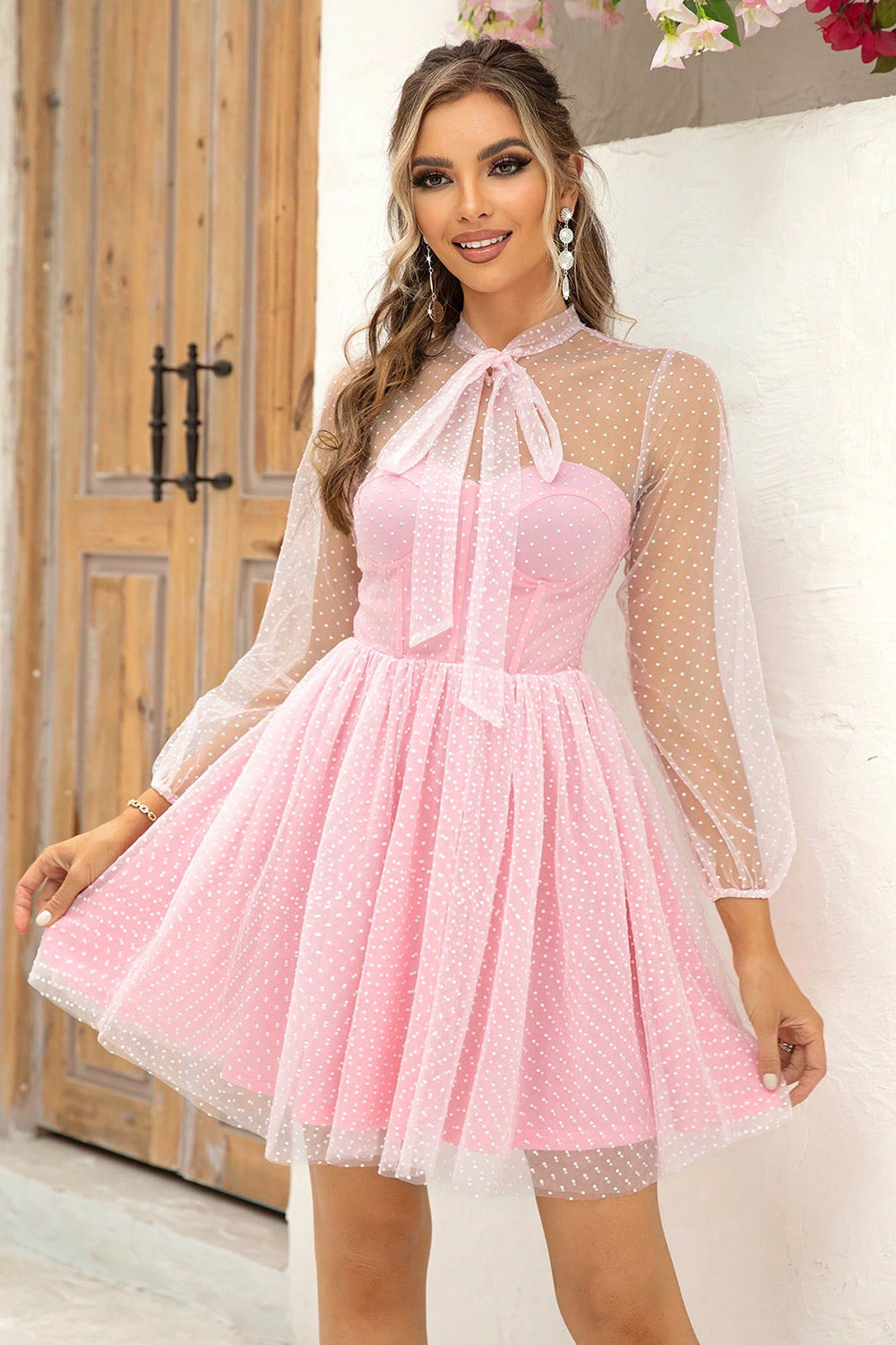 Blush Pink Dotted Sheer Dress