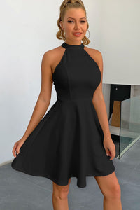 Black A-Line Sleeveless Skater Dress